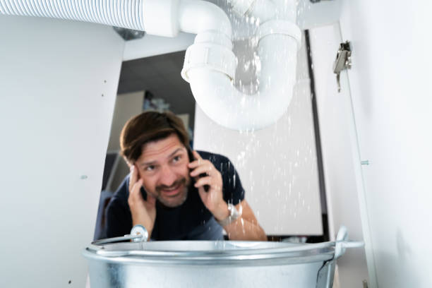 Best Sewer Line Repair  in Gray, LA